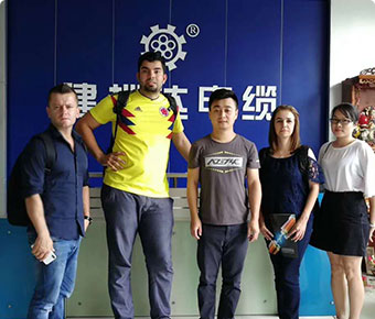 來(lái)自沙特阿拉伯客戶潘先生的贊譽(yù) - 柔性電纜產(chǎn)品